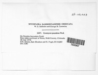 Image Associated With the Occurence